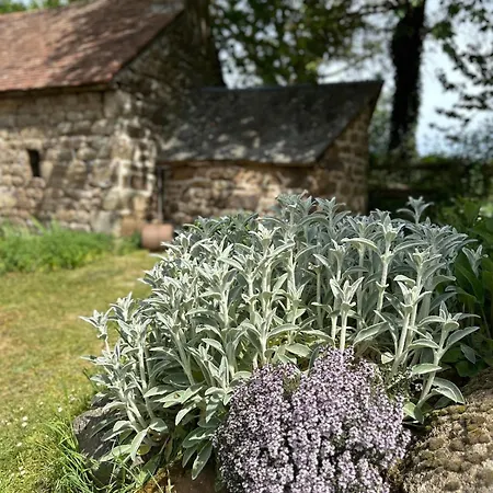 بيت للعطل Beautiful Rustic In Peaceful Location *