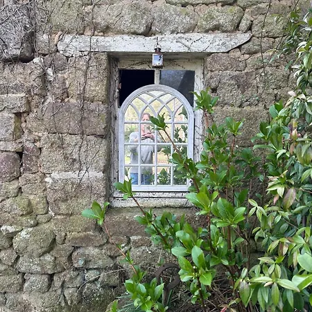 Beautiful Rustic In Peaceful Location